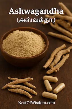 Ashwagandha (அஸ்வகந்தா) powder, root, and capsules – Ayurvedic adaptogen for anxiety relief