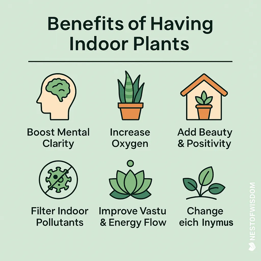 Best Indoor Plants for Positive Energy explained with icons for clean air mental clarity wealth and spiritual harmony