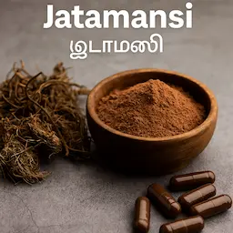 Jatamansi (ஜடாமன்சி) root, powder, and capsules – Ayurvedic supplement for stress and sleep