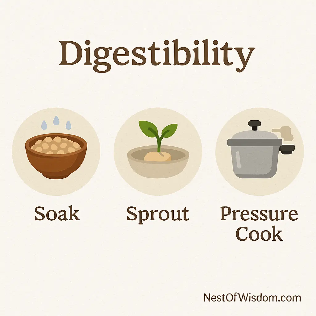Plant Based Protein Sources – digestibility tips: soak, sprout, pressure cook
